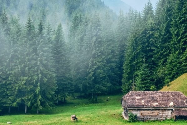 catalin-serban-b0CEpd0m1QY-unsplash